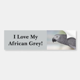Autocollant De Voiture Perroquet magnifique de gris africain