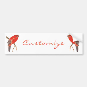 Autocollant De Voiture Perroquet rouge tropical Thunder_Cove