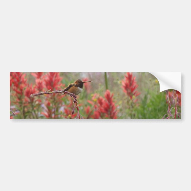 Autocollant De Voiture Petit oiseau gras (Devant)