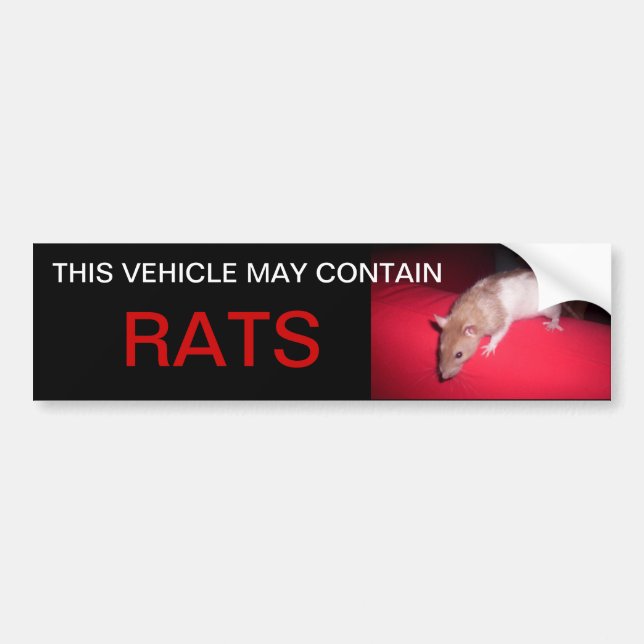 Autocollant De Voiture peut contenir des rats (Devant)