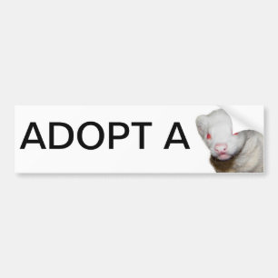 Autocollant De Voiture Photo Albino Ferret