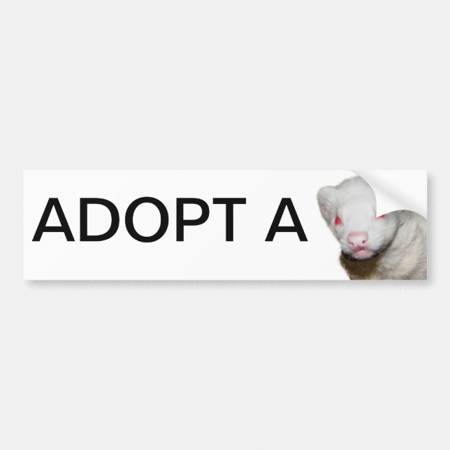 Autocollant De Voiture Photo Albino Ferret (Devant)