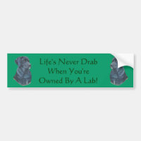 photo black labrador dog avec slogan amusant