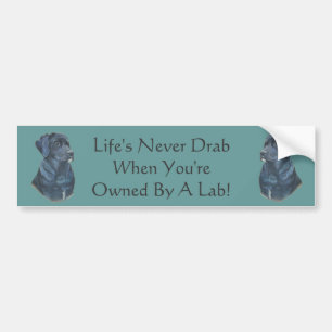 Autocollant De Voiture photo black labrador dog avec slogan amusant