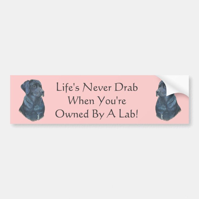 Autocollant De Voiture photo black labrador dog avec slogan amusant (Devant)