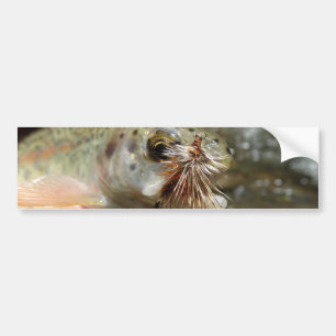 Autocollant De Voiture Photo Rainbow Trump