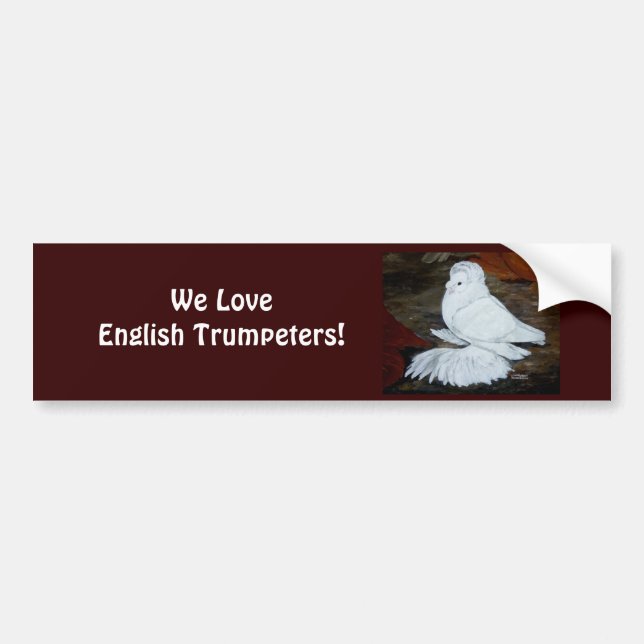 Autocollant De Voiture Pigeon trompette anglais blanc (Devant)