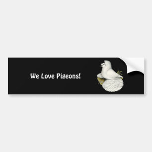 Autocollant De Voiture Pigeon Trompette Blanc