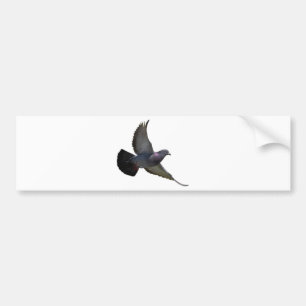 Autocollant De Voiture Pigeons