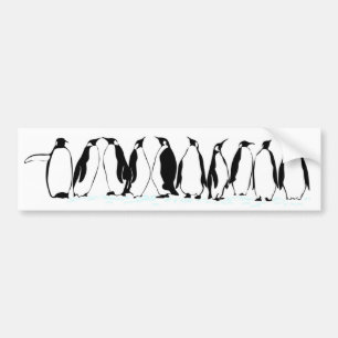 Autocollant De Voiture Pingouins sur le défilé