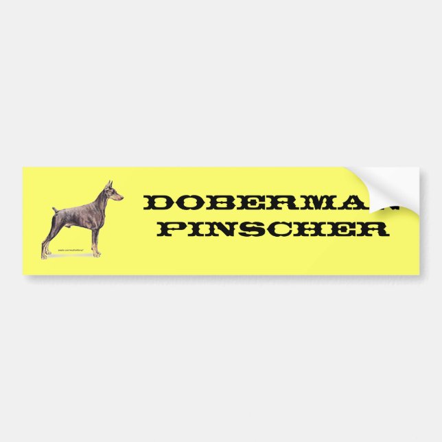 Autocollant De Voiture Pinscher de dobermann (Devant)