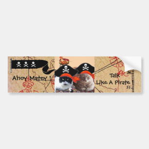 AUTOCOLLANT DE VOITURE PIRATE CATS PIRATES PIRATES ANCIENS CARTES DE TRÉS