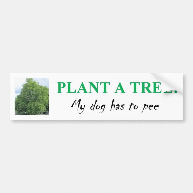AUTOCOLLANT DE VOITURE PLANTEZ UN ARBRE (Devant)