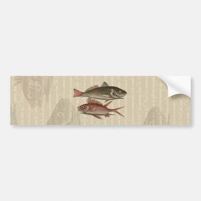 Autocollant De Voiture Poisson Perche rouge Art pêcheur (Devant)