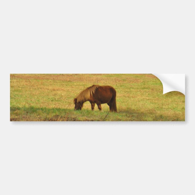 Autocollant De Voiture Pony miniature Brown (Devant)