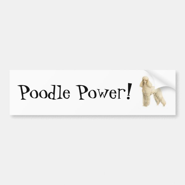 Autocollant De Voiture Poodle — Clip de chiot (Devant)