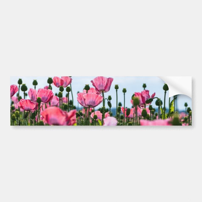 Autocollant De Voiture Poppies roses (Devant)