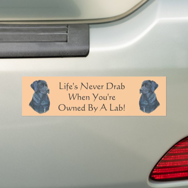 Autocollant De Voiture portrait de chien noir labrador original slogan am (En voiture)