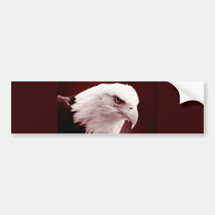 Autocollant De Voiture Portrait de l'aigle à tête blanche américain