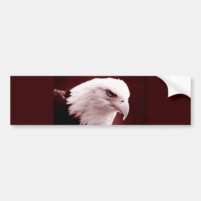 Autocollant De Voiture Portrait de l'aigle à tête blanche américain (Devant)