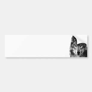 Autocollant De Voiture Portrait de loup noir et blanc