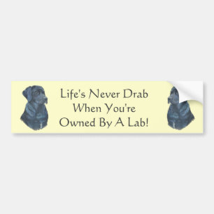 Autocollant De Voiture portrait painting of black labrador dog