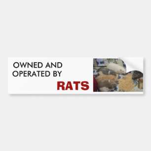 Autocollant De Voiture possédé et fonctionné par des RATS
