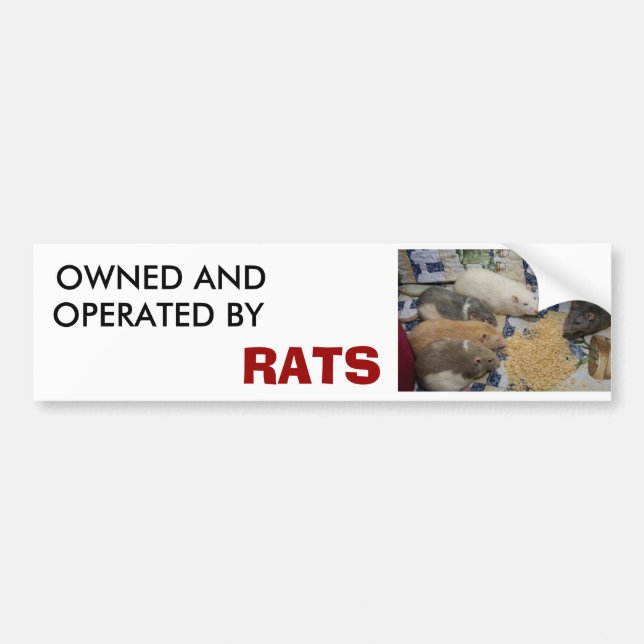 Autocollant De Voiture possédé et fonctionné par des RATS (Devant)