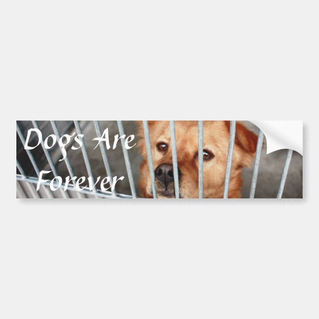 Autocollant De Voiture Pour toujours (Devant)