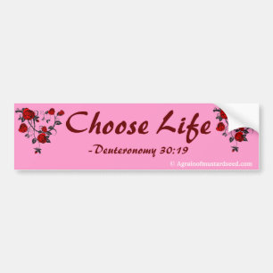 Autocollant De Voiture Praise Him N Pink Bible quota Customize