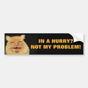 Autocollant De Voiture Pressé ? Non mon chat Meme de problème