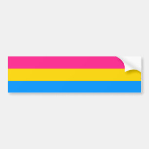 Autocollant De Voiture PRIDE.png PANSEXUAL