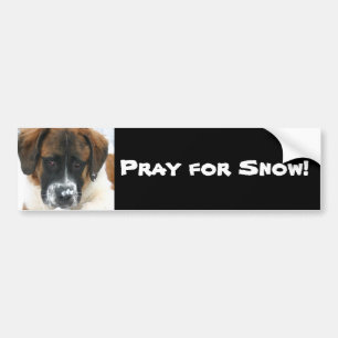 Autocollant De Voiture Priez pour la neige !