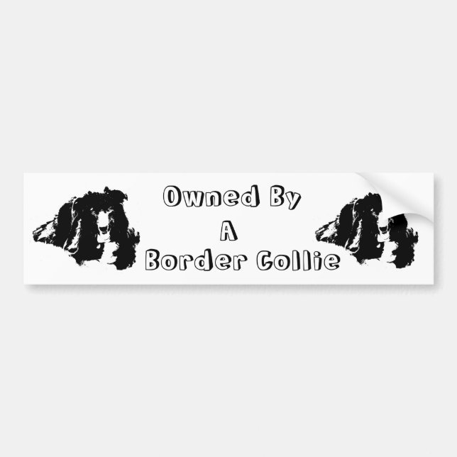 Autocollant De Voiture Propriété D'Un Collie Bordure Funny Bumper Sticker (Devant)