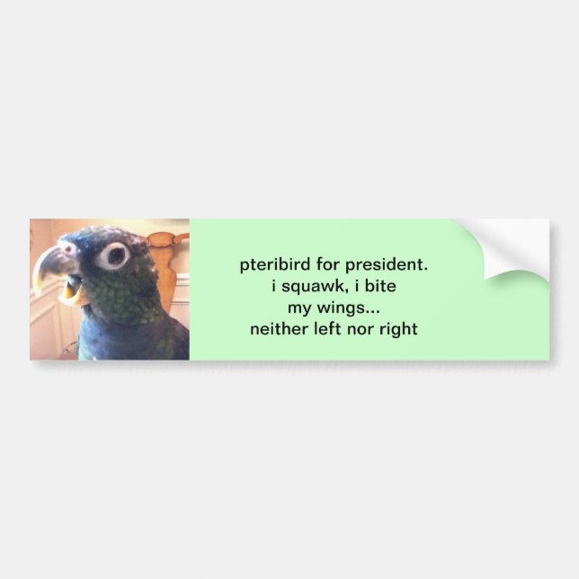 Autocollant De Voiture pteribird pour le président (Devant)