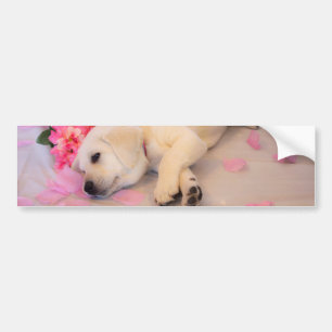 Autocollant De Voiture Puppy Sleep Flower 01