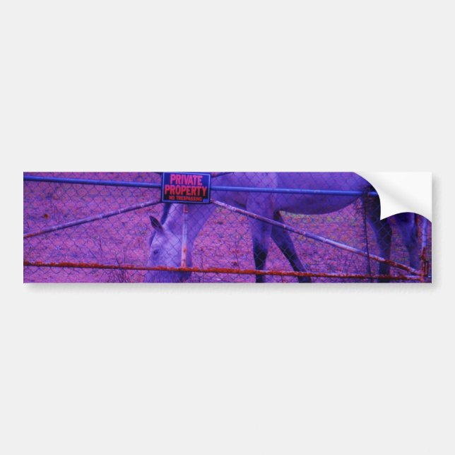 Autocollant De Voiture Purple Propriété Privée Horse (Devant)