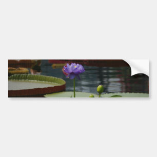 Autocollant De Voiture Purple Waterlily