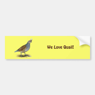 Autocollant De Voiture Quail à échelle