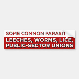 Autocollant De Voiture Quelques parasites communs
