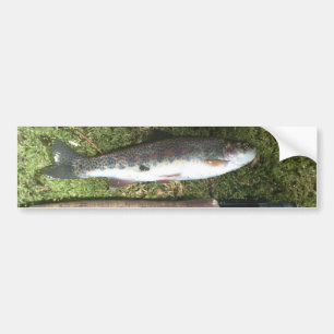Autocollant De Voiture rainbow trout and fly fishing reel