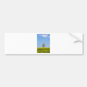 Autocollant De Voiture Rapeseed field with apple tree and blue sky