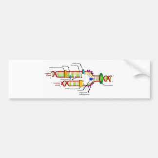 Autocollant De Voiture Reproduction d'ADN