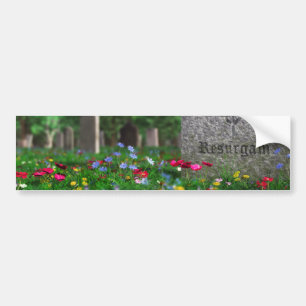 Autocollant De Voiture Resurgam Bumper Sticker