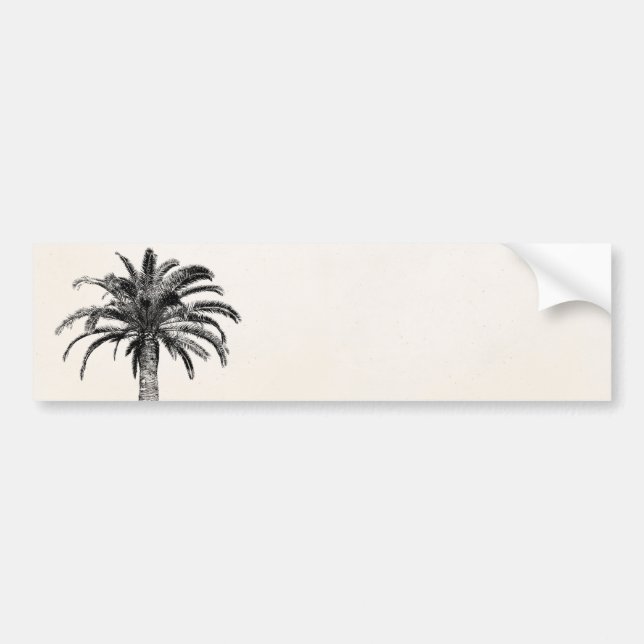 Autocollant De Voiture Rétro palmier tropical d'île en noir et blanc (Devant)