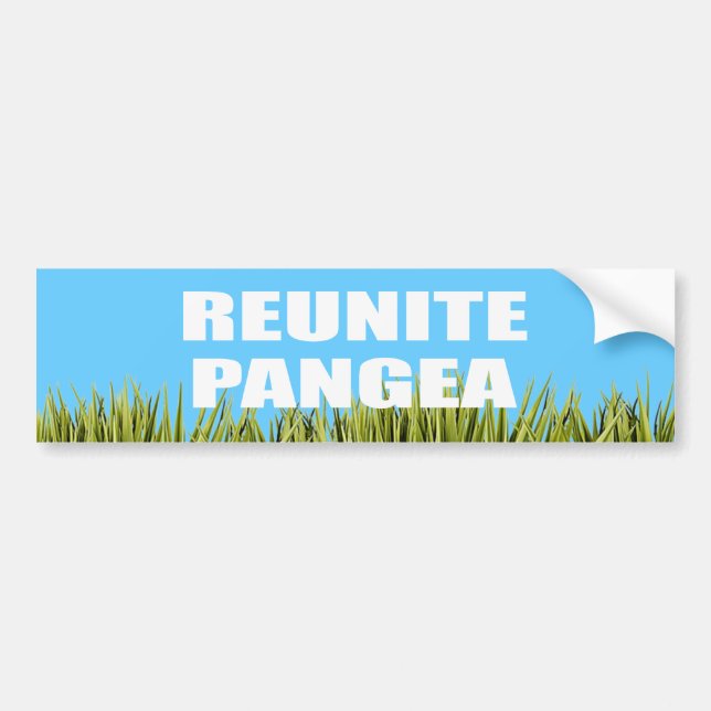 AUTOCOLLANT DE VOITURE RÉUNISSEZ PANGEA (Devant)