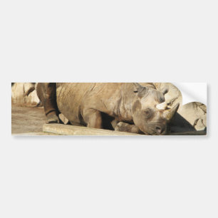 Autocollant De Voiture Rhino couché