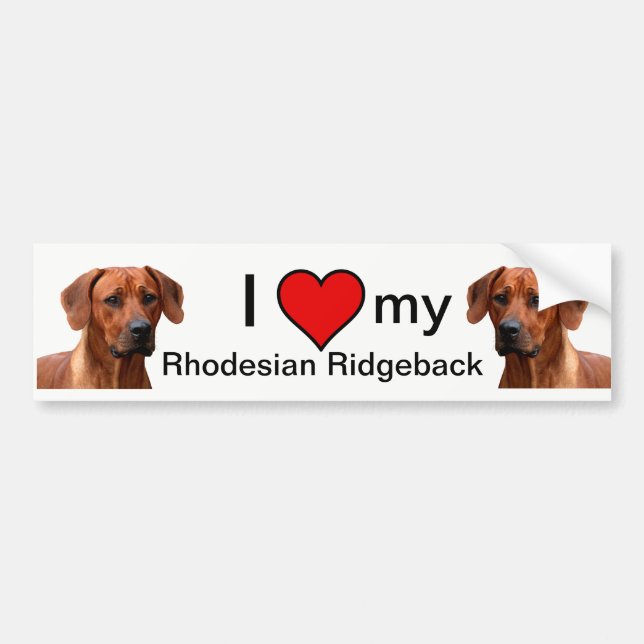 Autocollant De Voiture Rhodesian Ridgeback bumpersticker (Devant)