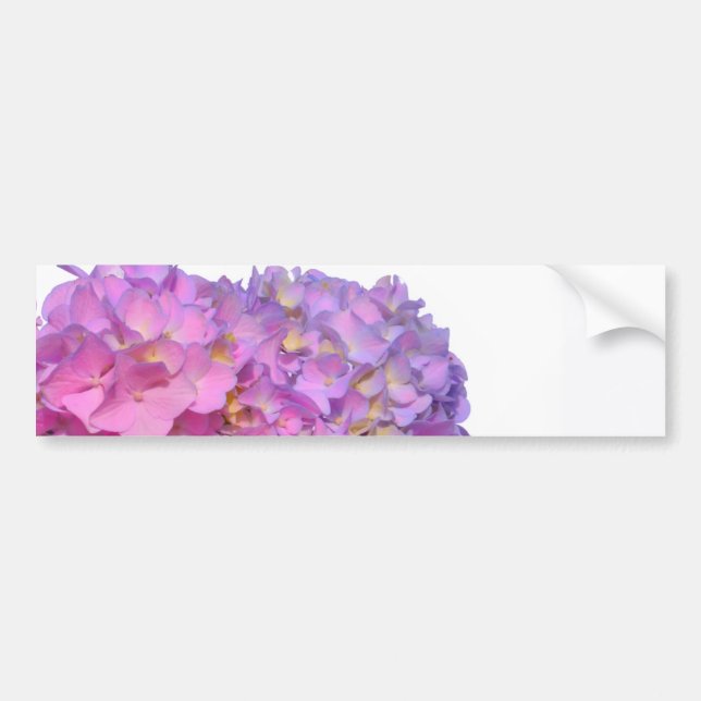 Autocollant De Voiture Rose Blue Hydrangeas élégantes fleurs rose violet (Devant)