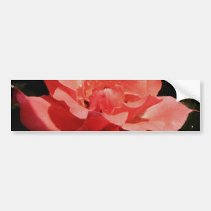 Autocollant De Voiture rose de pêche et détritus